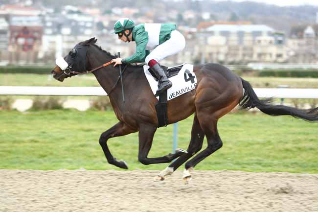 Photo d'arrivée de la course pmu PRIX D'HENNEQUEVILLE à DEAUVILLE le Samedi 11 janvier 2020