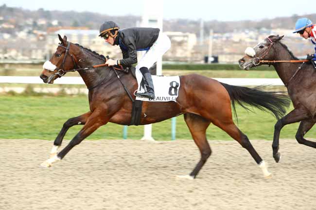 Photo d'arrivée de la course pmu PRIX DU HOME à DEAUVILLE le Samedi 11 janvier 2020