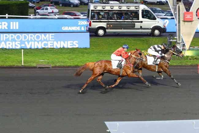 Photo d'arrivée de la course pmu PRIX DJERID à PARIS-VINCENNES le Dimanche 12 janvier 2020