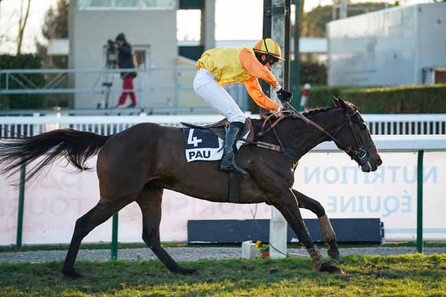 Photo d'arrivée de la course pmu PRIX EMILE LALANNE à PAU le Mardi 14 janvier 2020