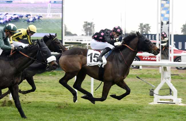 Photo d'arrivée de la course pmu PRIX DE CANNES à CAGNES-SUR-MER le Mercredi 15 janvier 2020