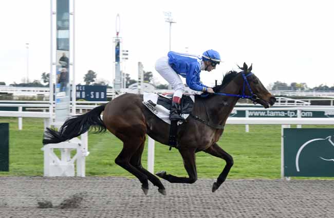 Photo d'arrivée de la course pmu PRIX DES MYOSOTIS à CAGNES-SUR-MER le Mercredi 15 janvier 2020