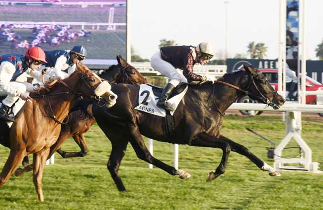 Photo d'arrivée de la course pmu PRIX DE LA CROISETTE à CAGNES-SUR-MER le Mercredi 15 janvier 2020