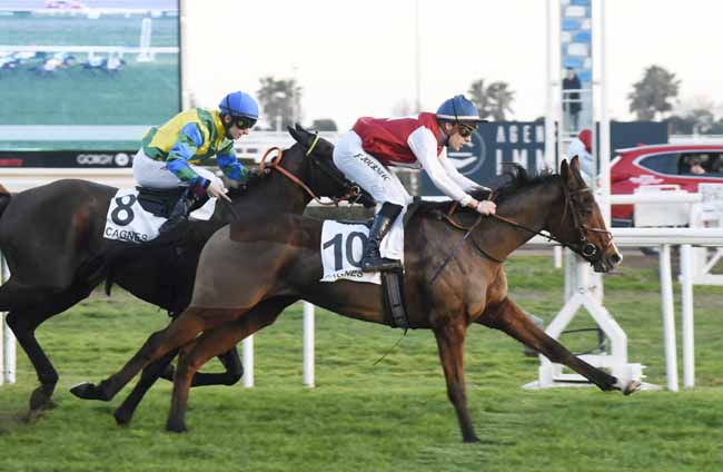 Photo d'arrivée de la course pmu PRIX DU VAL CAREI à CAGNES-SUR-MER le Mercredi 15 janvier 2020