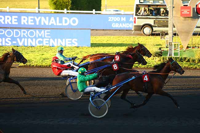 Photo d'arrivée de la course pmu PRIX JEAN-PIERRE REYNALDO à PARIS-VINCENNES le Jeudi 16 janvier 2020
