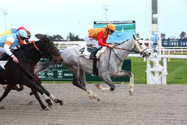 Photo d'arrivée de la course pmu PRIX DE LA GAUDE à CAGNES-SUR-MER le Lundi 20 janvier 2020