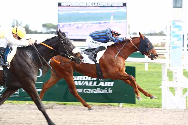 Photo d'arrivée de la course pmu PRIX DES NENUPHARS à CAGNES-SUR-MER le Mardi 21 janvier 2020
