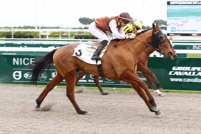 Photo d'arrivée de la course pmu PRIX DES OLIVIERS à CAGNES-SUR-MER le Mardi 21 janvier 2020