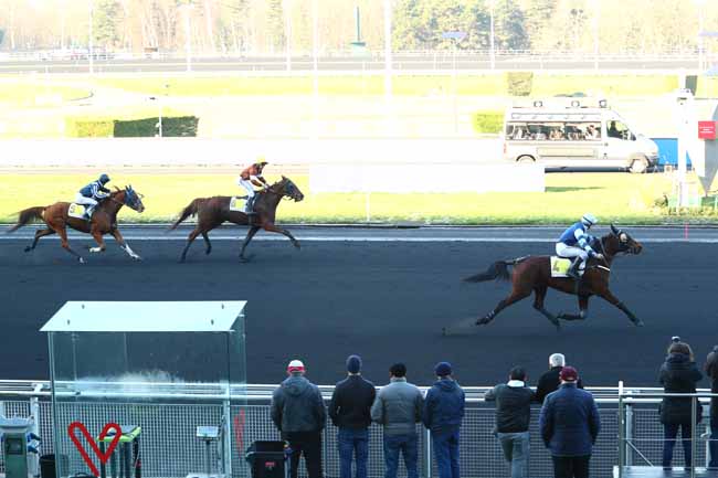 Photo d'arrivée de la course pmu PRIX DE CORLAY à PARIS-VINCENNES le Mardi 21 janvier 2020