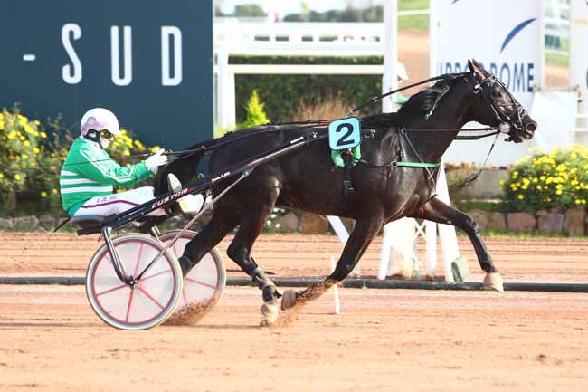 Photo d'arrivée de la course pmu PRIX DU PERIGORD à CAGNES-SUR-MER le Mercredi 22 janvier 2020