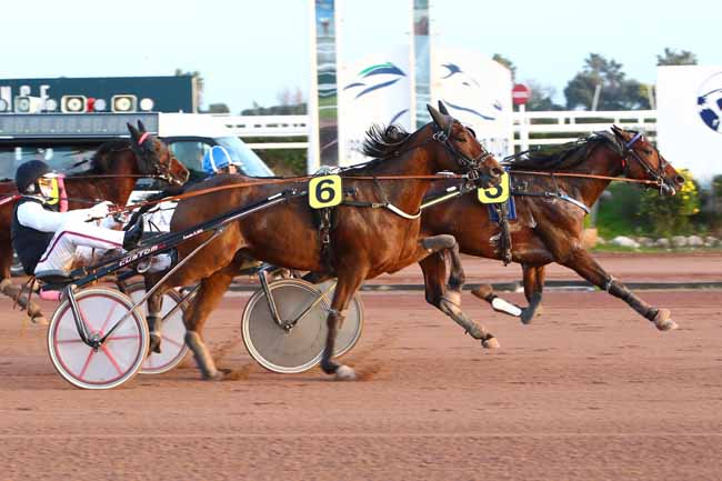 Photo d'arrivée de la course pmu PRIX TIGRE ROYAL à CAGNES-SUR-MER le Mercredi 22 janvier 2020
