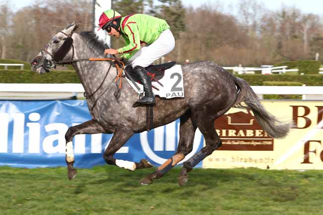 Photo d'arrivée de la course pmu PRIX RENE SIRVAIN à PAU le Vendredi 24 janvier 2020