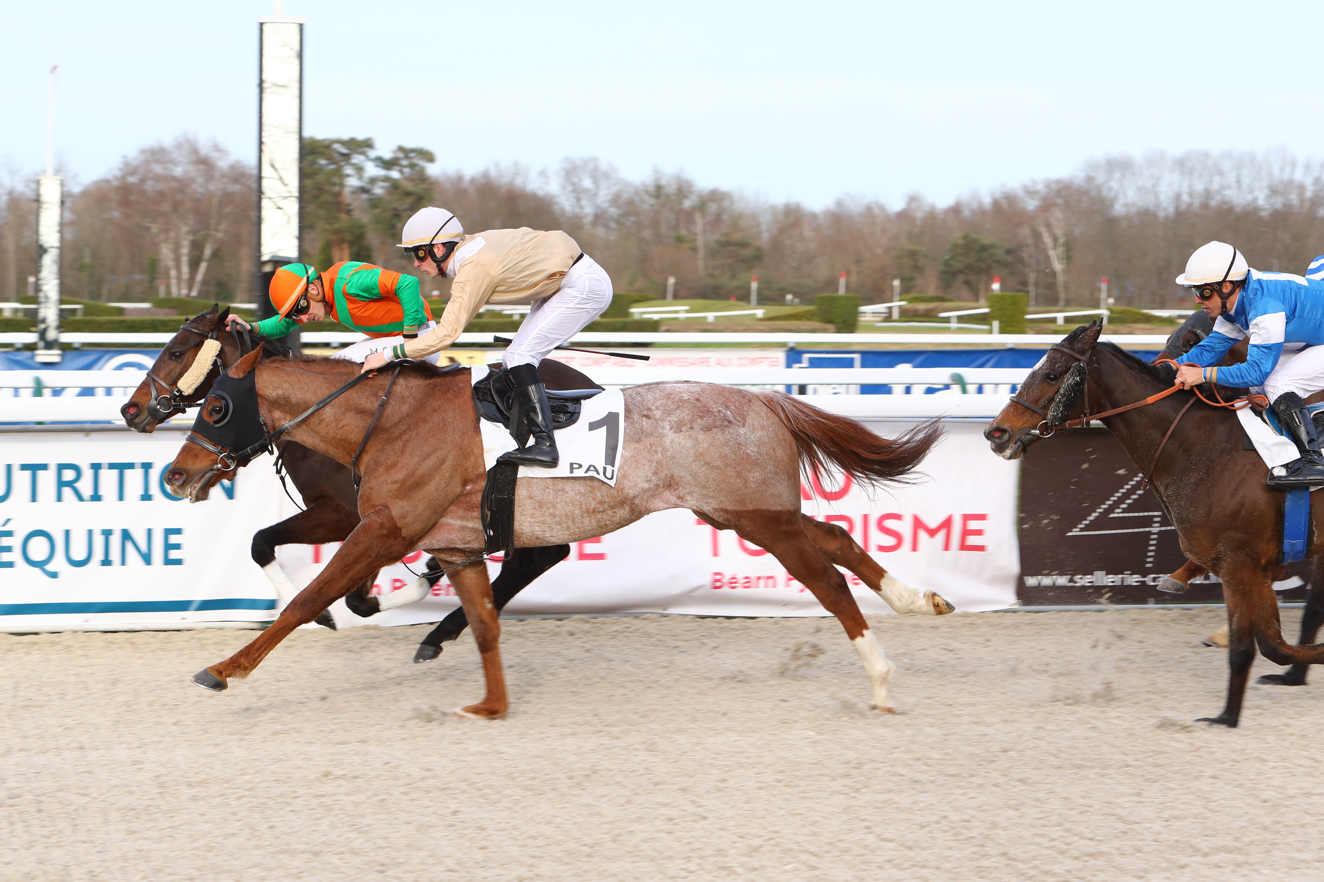 Photo d'arrivée de la course pmu PRIX D'ESTAUT à PAU le Vendredi 24 janvier 2020