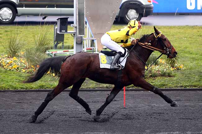 Photo d'arrivée de la course pmu PRIX CAMILLE BLAISOT à PARIS-VINCENNES le Dimanche 26 janvier 2020