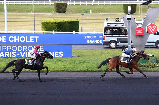 Photo d'arrivée de la course pmu PRIX DE CHOLET à PARIS-VINCENNES le Mardi 28 janvier 2020
