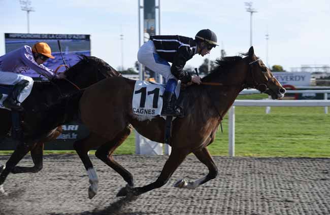 Photo d'arrivée de la course pmu PRIX MOTEL ASCOT HOTEL ET APPARTEMENTS à CAGNES-SUR-MER le Mercredi 29 janvier 2020