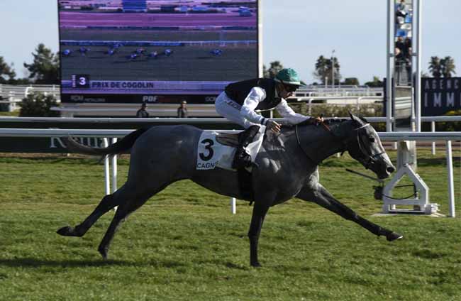 Photo d'arrivée de la course pmu PRIX DE COGOLIN à CAGNES-SUR-MER le Mercredi 29 janvier 2020