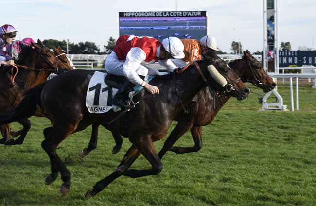 Photo d'arrivée de la course pmu PRIX DE GRIMAUD à CAGNES-SUR-MER le Mercredi 29 janvier 2020