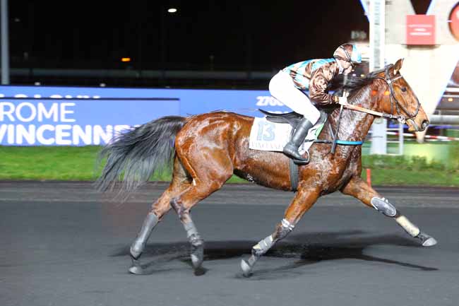 Photo d'arrivée de la course pmu PRIX DE VITRE à PARIS-VINCENNES le Samedi 1 février 2020
