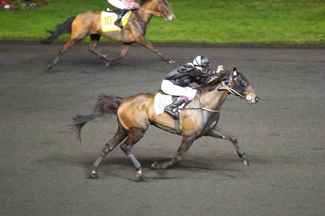 Photo d'arrivée de la course pmu PRIX DE LANNEMEZAN à PARIS-VINCENNES le Dimanche 2 février 2020
