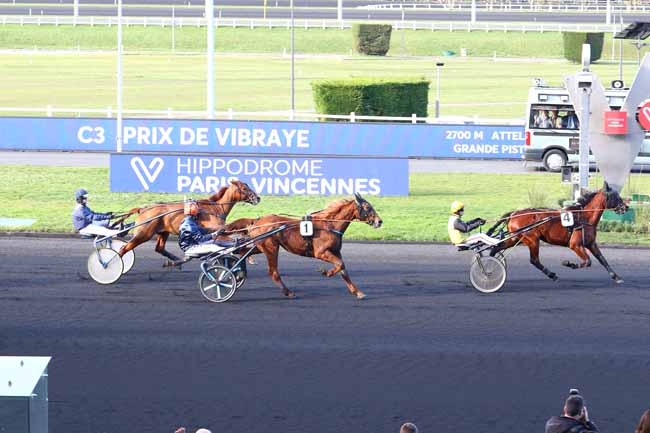 Photo d'arrivée de la course pmu PRIX DE VIBRAYE à PARIS-VINCENNES le Mercredi 5 février 2020