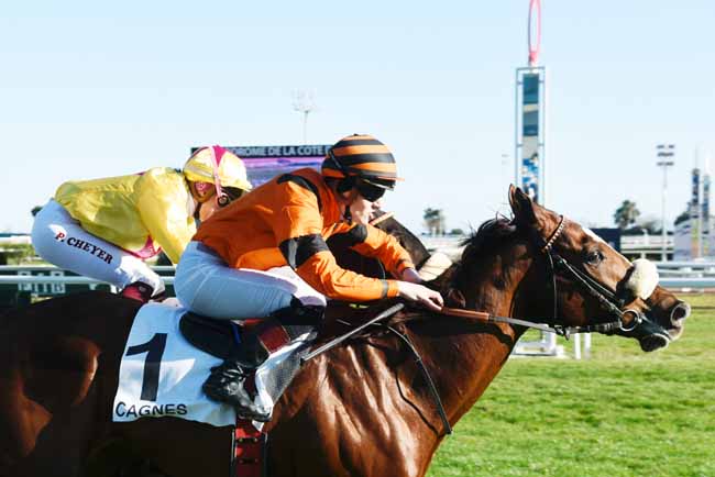 Photo d'arrivée de la course pmu PRIX DE LA MENTHE POIVREE à CAGNES-SUR-MER le Vendredi 7 février 2020