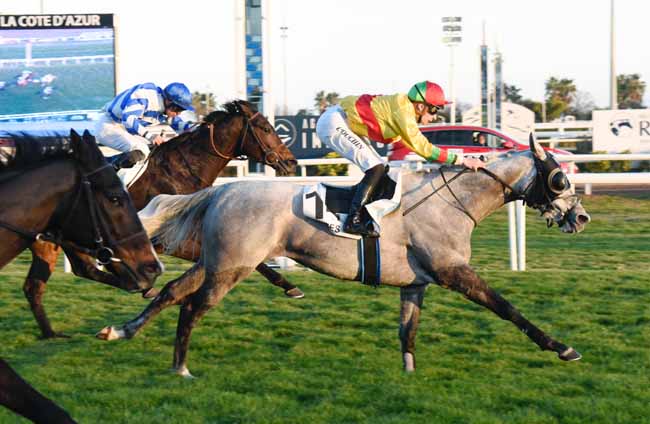 Photo d'arrivée de la course pmu PRIX DE MOUGINS à CAGNES-SUR-MER le Vendredi 7 février 2020