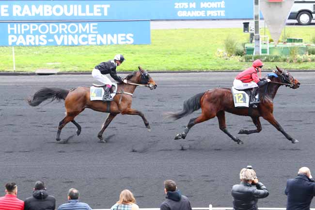 Photo d'arrivée de la course pmu PRIX DE RAMBOUILLET à PARIS-VINCENNES le Samedi 8 février 2020