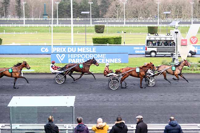 Photo d'arrivée de la course pmu PRIX DU MESLE à PARIS-VINCENNES le Lundi 10 février 2020
