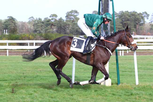 Photo d'arrivée de la course pmu PRIX CHAMPAGNE ROBERT GRUMIER à FONTAINEBLEAU le Jeudi 13 février 2020
