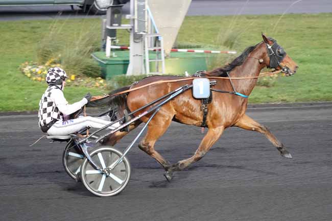 Photo d'arrivée de la course pmu PRIX DU CHESNAY à PARIS-VINCENNES le Mardi 18 février 2020