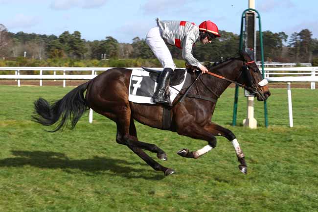 Photo d'arrivée de la course pmu PRIX DU MONT CHAUVET à FONTAINEBLEAU le Mardi 18 février 2020