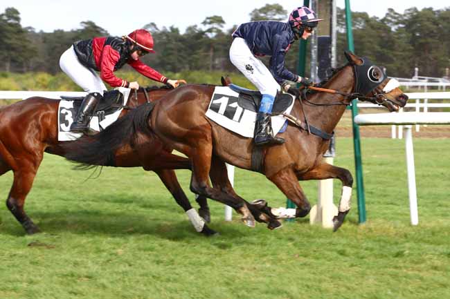 Photo d'arrivée de la course pmu PRIX GASTON DE LA MOTTE à FONTAINEBLEAU le Mardi 18 février 2020
