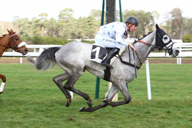 Photo d'arrivée de la course pmu PRIX DE LA SOCIETE DES COURSES DE CRAON à FONTAINEBLEAU le Mardi 18 février 2020