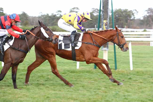 Photo d'arrivée de la course pmu PRIX GENERAL MARION à FONTAINEBLEAU le Mardi 18 février 2020