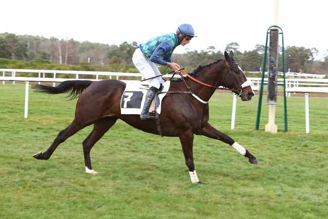 Photo d'arrivée de la course pmu PRIX CAPITAINE LABONDE à FONTAINEBLEAU le Mardi 18 février 2020