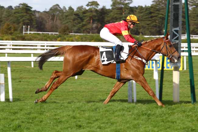 Photo d'arrivée de la course pmu PRIX DES HARAS NATIONAUX (PREMIER PELOTON) à FONTAINEBLEAU le Mardi 18 février 2020