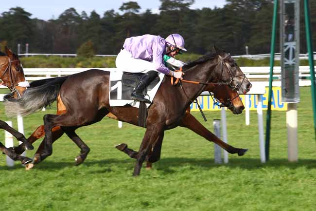 Photo d'arrivée de la course pmu PRIX DES HARAS NATIONAUX (SECOND PELOTON) à FONTAINEBLEAU le Mardi 18 février 2020