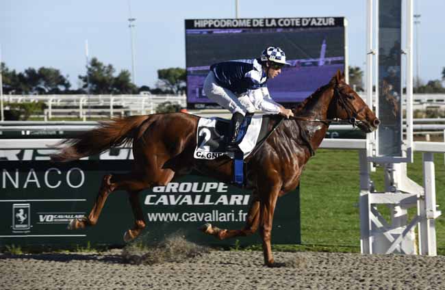 Photo d'arrivée de la course pmu PRIX DU LAUTIN à CAGNES-SUR-MER le Mercredi 19 février 2020