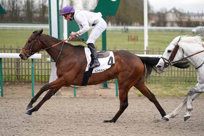 Photo d'arrivée de la course pmu PRIX DE LASSY à CHANTILLY le Jeudi 20 février 2020