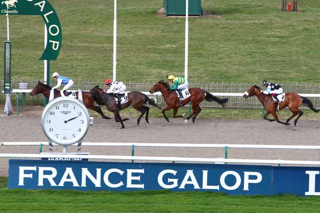 Photo d'arrivée de la course pmu PRIX DE LA ROUTE DES PINS à CHANTILLY le Vendredi 21 février 2020
