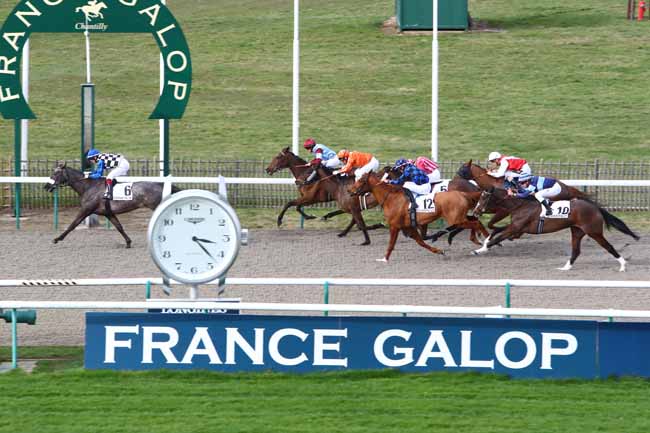 Photo d'arrivée de la course pmu PRIX DE SAINT-MARTIN-DU-TERTRE à CHANTILLY le Vendredi 21 février 2020