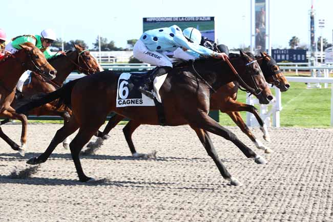 Photo d'arrivée de la course pmu PRIX POLICEMAN à CAGNES-SUR-MER le Samedi 22 février 2020