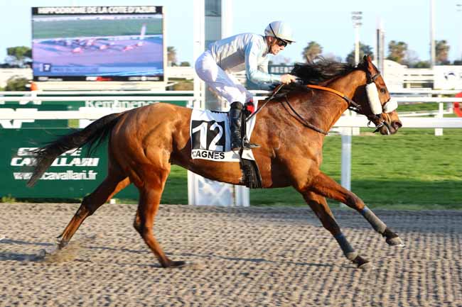 Photo d'arrivée de la course pmu PRIX DU VAUCLUSE à CAGNES-SUR-MER le Samedi 22 février 2020