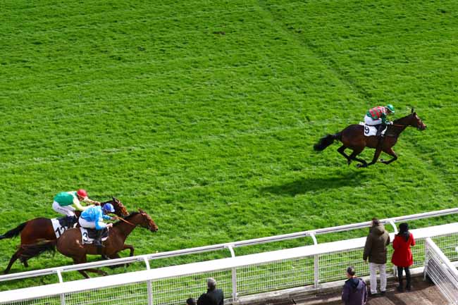 Photo d'arrivée de la course pmu PRIX BEUGNOT à AUTEUIL le Lundi 24 février 2020