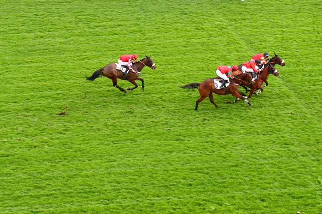 Photo d'arrivée de la course pmu PRIX VARAVILLE à AUTEUIL le Lundi 24 février 2020