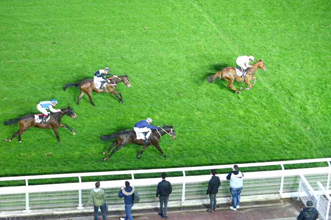 Photo d'arrivée de la course pmu PRIX BRIGHT ZAGREUS à AUTEUIL le Lundi 24 février 2020
