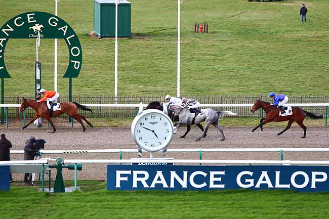 Photo d'arrivée de la course pmu PRIX DU ROND-POINT DES AIGLES à CHANTILLY le Mardi 25 février 2020