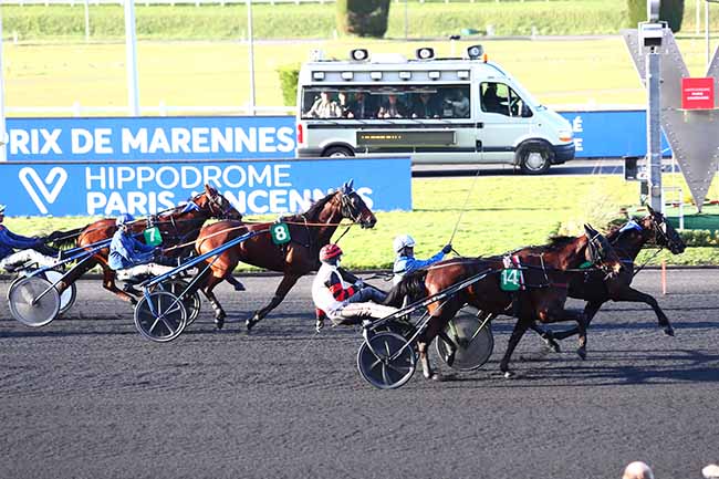 Photo d'arrivée de la course pmu PRIX DE MARENNES à PARIS-VINCENNES le Mercredi 26 février 2020