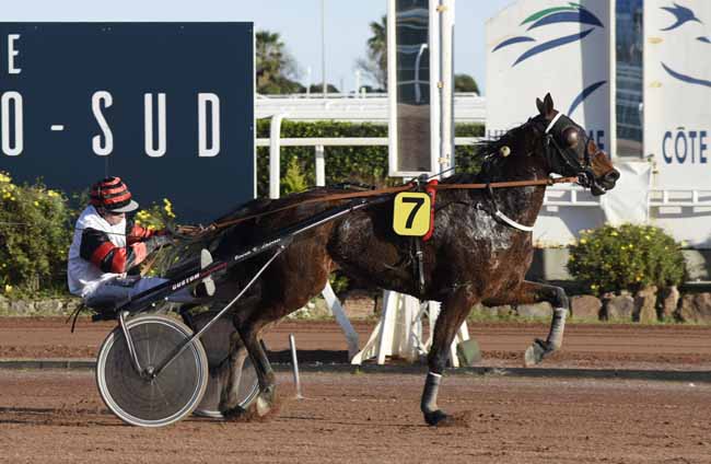 Photo d'arrivée de la course pmu PRIX DE SALERNES à CAGNES-SUR-MER le Vendredi 28 février 2020